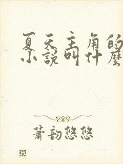 夏天主角的那个小说叫什么名字