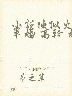 小说他似火 (军婚 高干 婚恋)