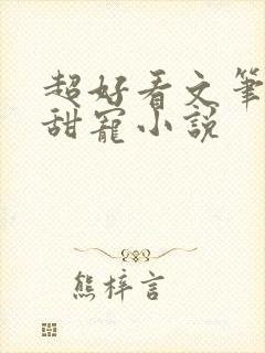 超好看文笔好的甜宠小说