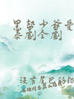 黑帮少爷爱上我泰剧全剧