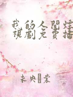 我的人间烟火电视剧免费播放