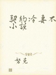 契约冷妻不好惹小说