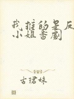 我推的是反派大小姐番剧