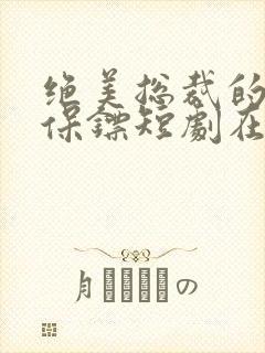 绝美总裁的贴身保镖短剧在线观看
