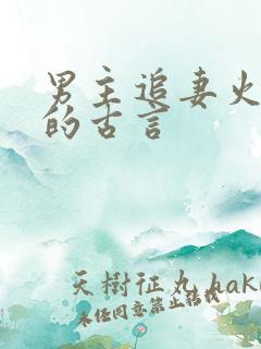 男主追妻火葬场的古言