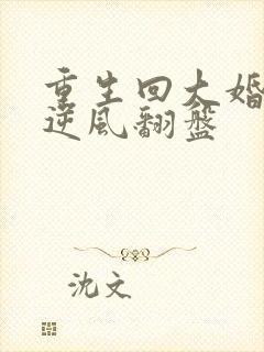 重生回大婚时她逆风翻盘