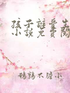孩子谁爱生谁生小说免费阅读