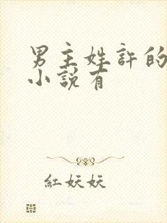 男主姓许的穿越小说有