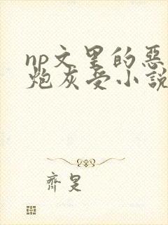 np文里的恶毒炮灰受小说