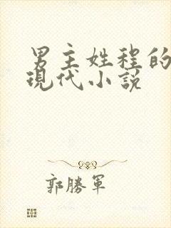 男主姓程的甜宠现代小说