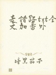 走错路txt全文加番外