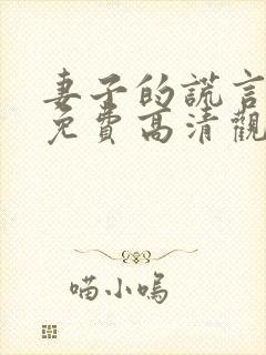 妻子的谎言短剧免费高清观看