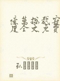 亿万总裁宠妻无度全文免费阅读