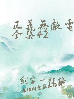 正义无敌电视剧全集42