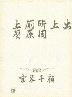 上厕所上出血什么原因