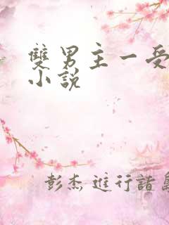 双男主一受多攻小说