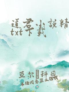 道君小说精校版txt下载