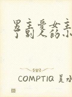 男主爱女主却娶了别人的小说