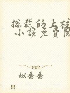 总裁的上校冷妻 小说免费阅读