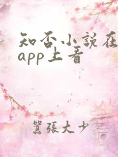 知否小说在哪个app上看