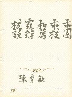 校霸和乖乖女小说推荐校园甜宠文