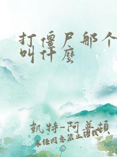 打僵尸那个游戏叫什么