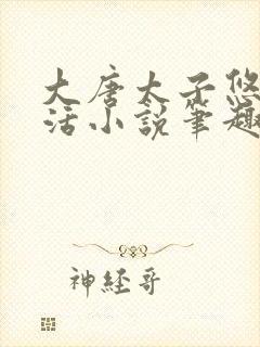 大唐太子悠闲生活小说笔趣阁