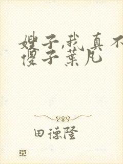 嫂子,我真不是傻子叶凡