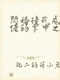 闪婚后我成了大佬的掌中之物69