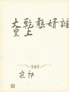 大乾憨婿谁当了皇上