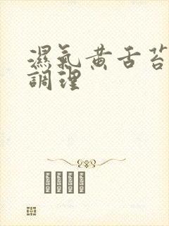 湿气黄舌苔怎么调理