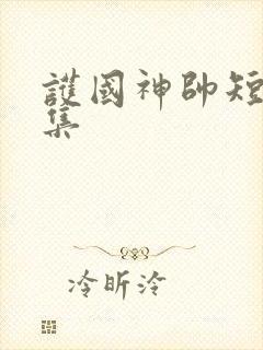 护国神帅短剧合集
