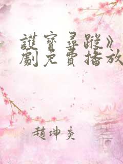 护宝寻踪》电视剧免费播放全集