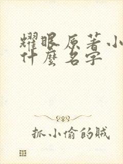 耀眼原著小说叫什么名字