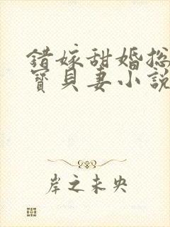 错嫁甜婚总裁的宝贝妻小说完整版