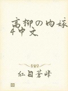 高柳の肉嫁1～4中文