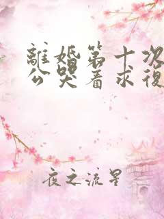 离婚第十次后老公哭着求复婚小说