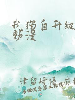 我独自升级高清动漫