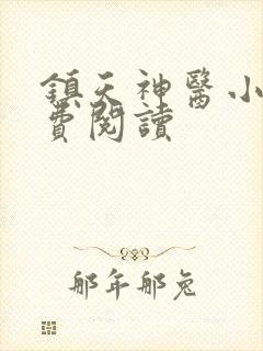 镇天神医小说免费阅读