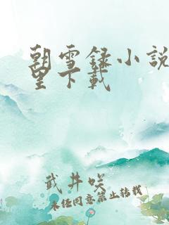 朝雪录小说在哪里下载