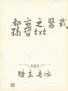 都市之医武凡流孙哲txt