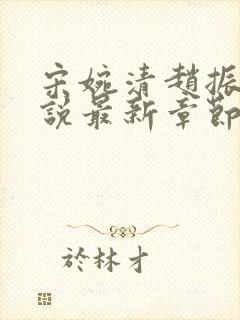 宋婉清赵振国小说最新章节