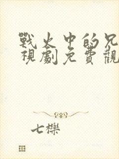 战火中的兄弟电视剧免费观看