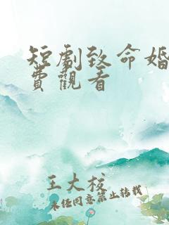 短剧致命婚姻免费观看