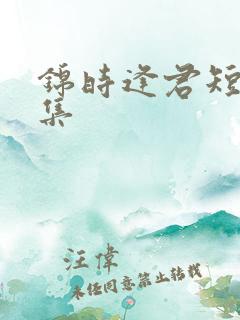 锦时逢君短剧全集