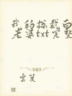 我的总裁白富美老婆txt完整无错版