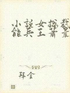 小说女总裁的全能兵王萧晨全集下载