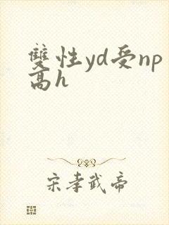 双性yd受np高h
