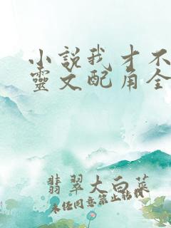小说我才不是精灵文配角全本阅读