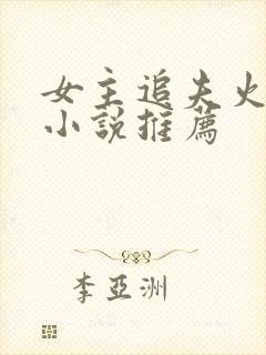 女主追夫火葬场小说推荐